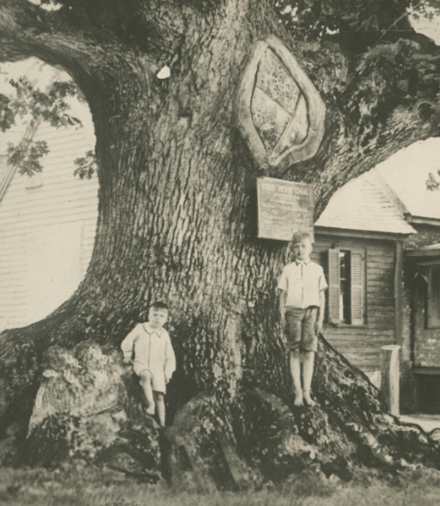 Boys in front of old tree circa 1930