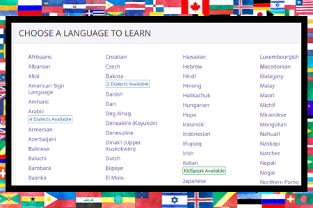 Screenshot of Transparent Language