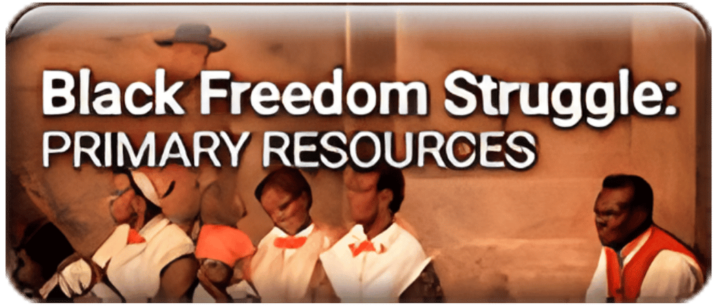 Black Freedon Struggle: Primary Resources Button
